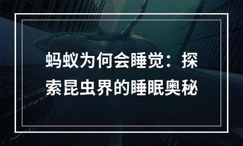 蚂蚁为何会睡觉：探索昆虫界的睡眠奥秘