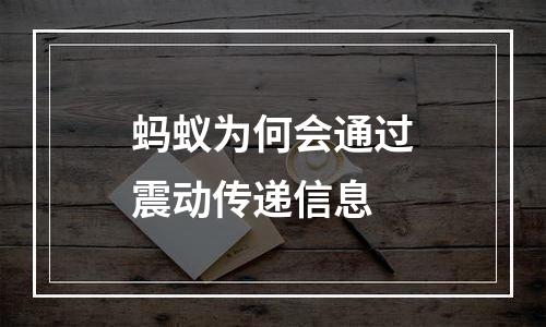 蚂蚁为何会通过震动传递信息