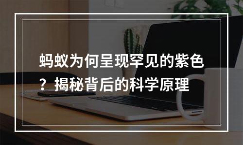 蚂蚁为何呈现罕见的紫色？揭秘背后的科学原理