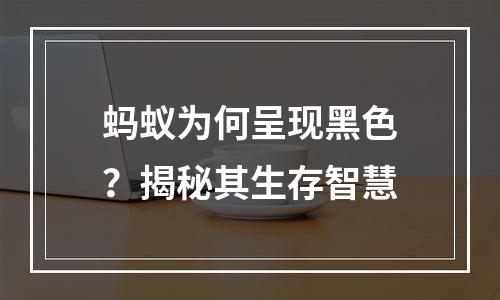 蚂蚁为何呈现黑色？揭秘其生存智慧