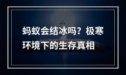 蚂蚁会结冰吗？极寒环境下的生存真相