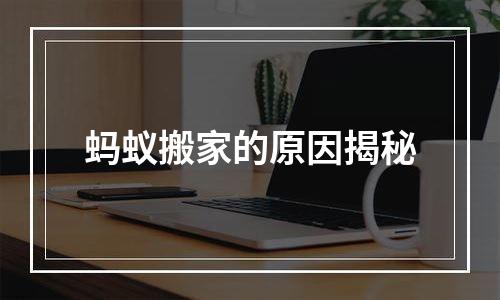 蚂蚁搬家的原因揭秘