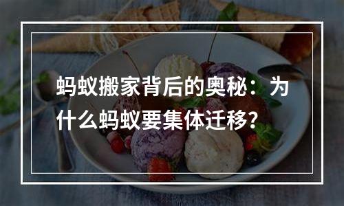 蚂蚁搬家背后的奥秘：为什么蚂蚁要集体迁移？