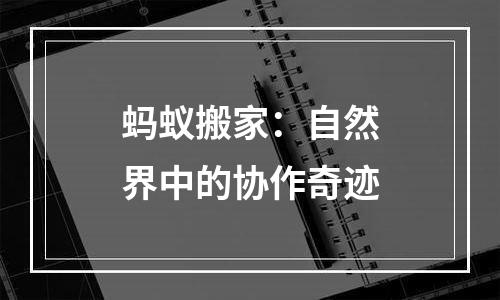 蚂蚁搬家：自然界中的协作奇迹