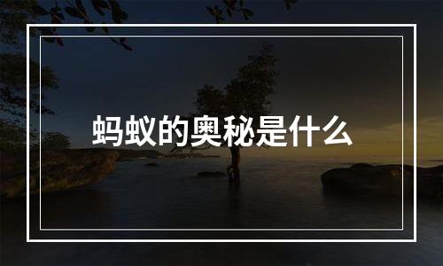 蚂蚁的奥秘是什么