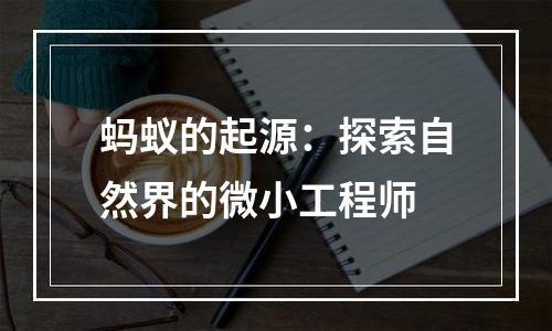 蚂蚁的起源：探索自然界的微小工程师