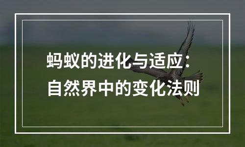 蚂蚁的进化与适应：自然界中的变化法则