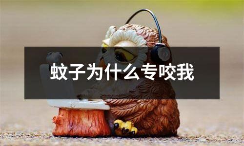 蚊子为什么专咬我