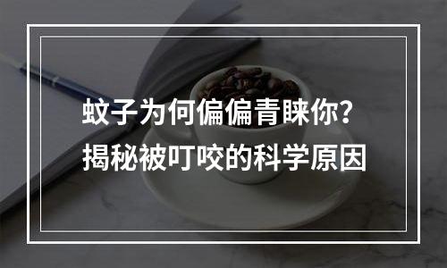 蚊子为何偏偏青睐你？揭秘被叮咬的科学原因