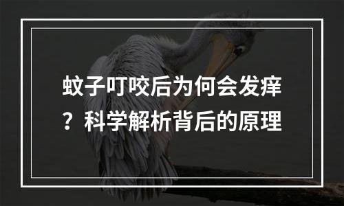 蚊子叮咬后为何会发痒？科学解析背后的原理