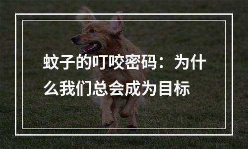 蚊子的叮咬密码：为什么我们总会成为目标