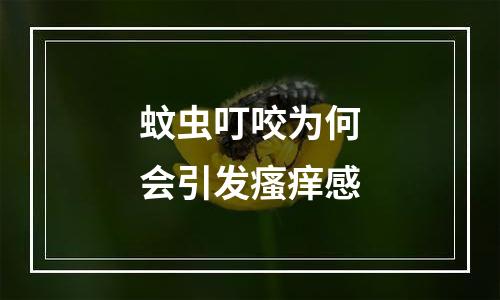 蚊虫叮咬为何会引发瘙痒感