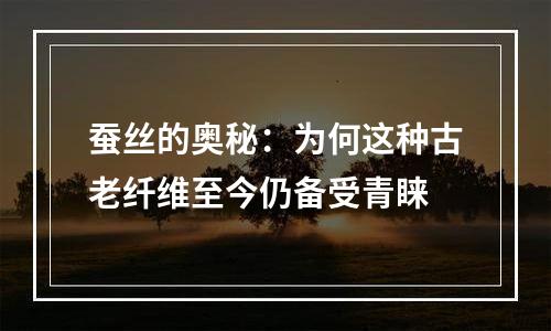 蚕丝的奥秘：为何这种古老纤维至今仍备受青睐