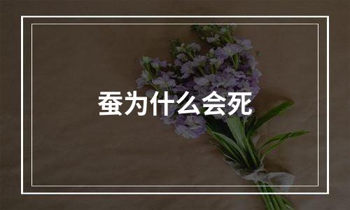 蚕为什么会死