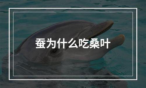 蚕为什么吃桑叶