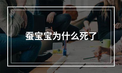 蚕宝宝为什么死了