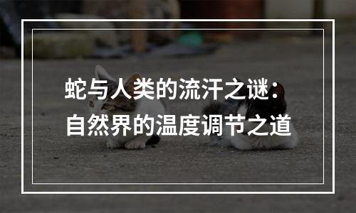 蛇与人类的流汗之谜：自然界的温度调节之道
