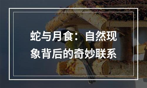 蛇与月食：自然现象背后的奇妙联系