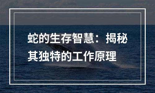 蛇的生存智慧：揭秘其独特的工作原理