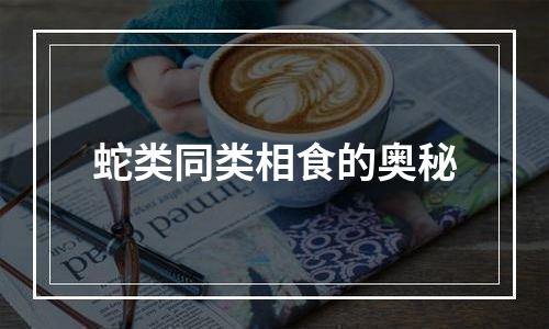 蛇类同类相食的奥秘