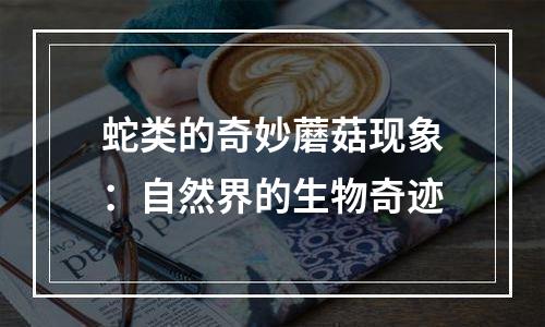 蛇类的奇妙蘑菇现象：自然界的生物奇迹