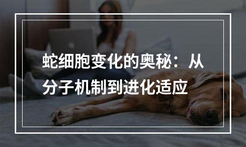 蛇细胞变化的奥秘：从分子机制到进化适应