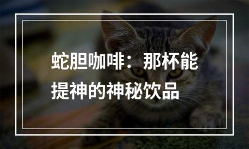 蛇胆咖啡：那杯能提神的神秘饮品