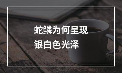 蛇鳞为何呈现银白色光泽