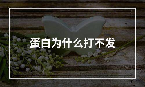 蛋白为什么打不发