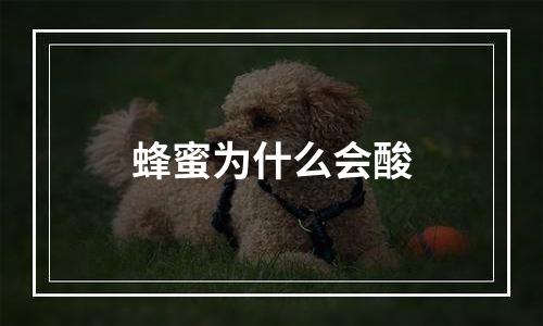 蜂蜜为什么会酸