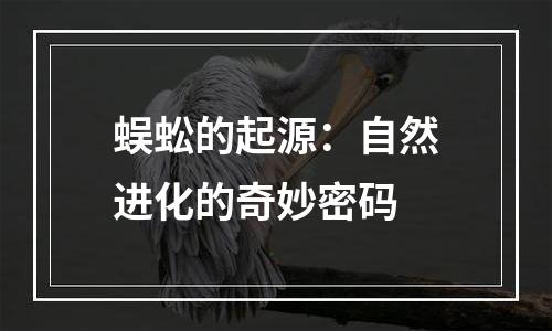 蜈蚣的起源：自然进化的奇妙密码