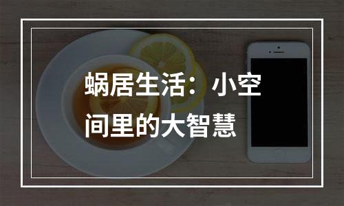 蜗居生活：小空间里的大智慧