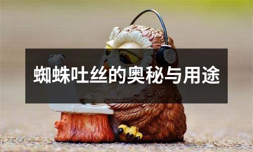 蜘蛛吐丝的奥秘与用途