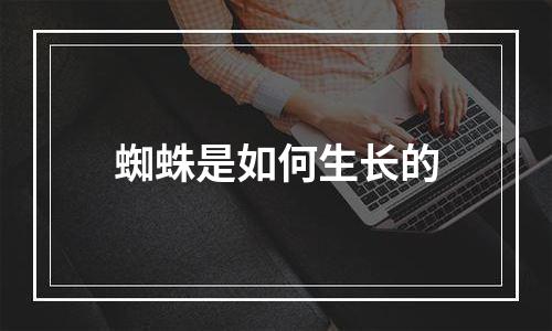 蜘蛛是如何生长的