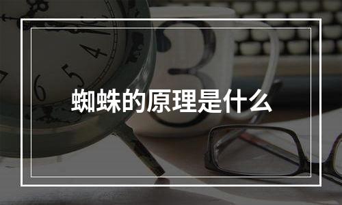 蜘蛛的原理是什么
