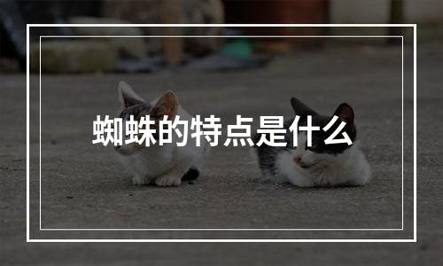 蜘蛛的特点是什么