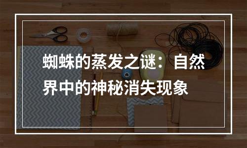 蜘蛛的蒸发之谜：自然界中的神秘消失现象