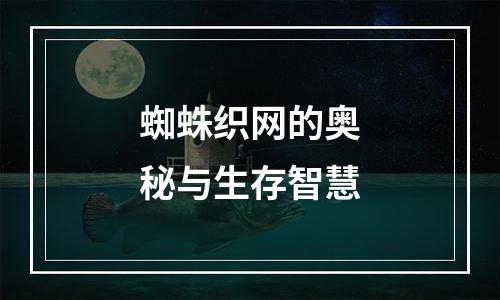 蜘蛛织网的奥秘与生存智慧