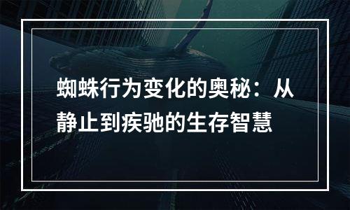 蜘蛛行为变化的奥秘：从静止到疾驰的生存智慧