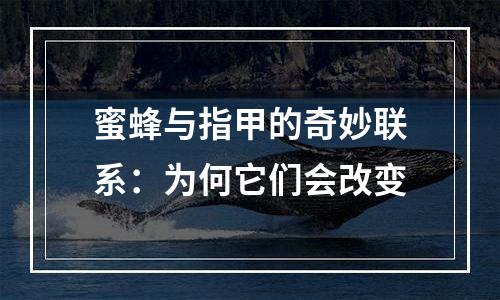 蜜蜂与指甲的奇妙联系：为何它们会改变