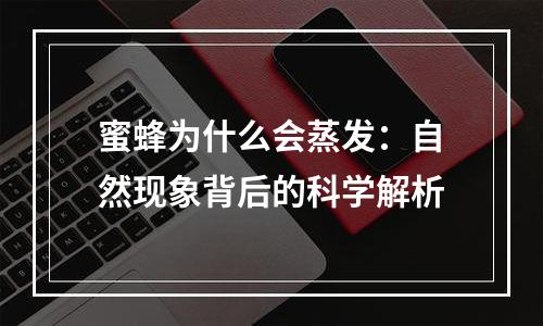 蜜蜂为什么会蒸发：自然现象背后的科学解析