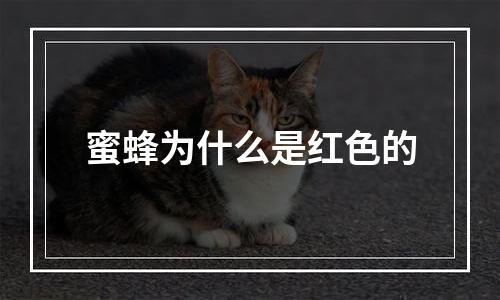 蜜蜂为什么是红色的