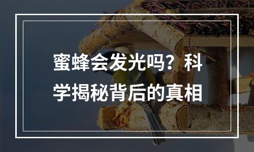 蜜蜂会发光吗？科学揭秘背后的真相