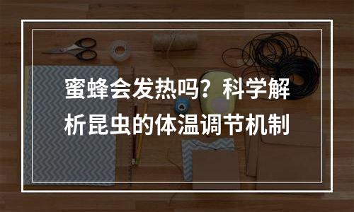 蜜蜂会发热吗？科学解析昆虫的体温调节机制