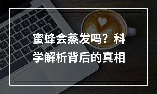 蜜蜂会蒸发吗？科学解析背后的真相