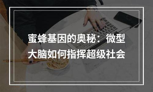 蜜蜂基因的奥秘：微型大脑如何指挥超级社会