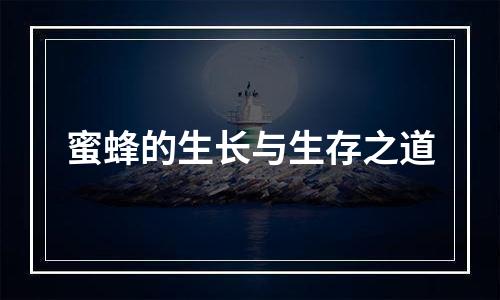 蜜蜂的生长与生存之道