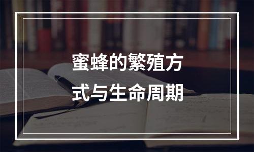 蜜蜂的繁殖方式与生命周期