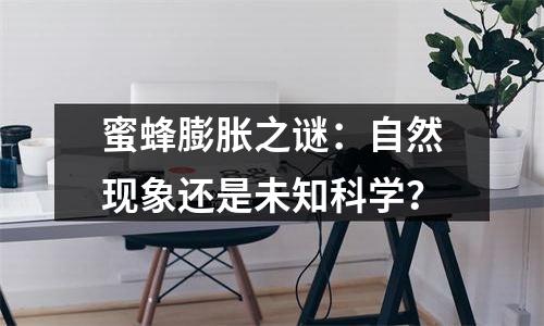 蜜蜂膨胀之谜：自然现象还是未知科学？
