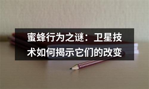 蜜蜂行为之谜：卫星技术如何揭示它们的改变